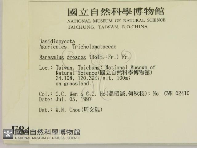 登錄號:F0008431藏品圖，第2張