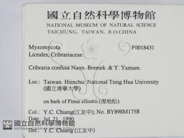 登錄號:F0018431藏品圖，第2張