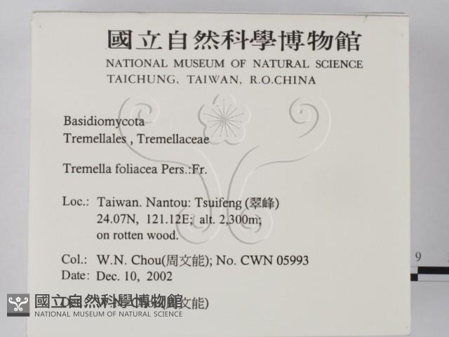 登錄號:F0016431藏品圖，第2張
