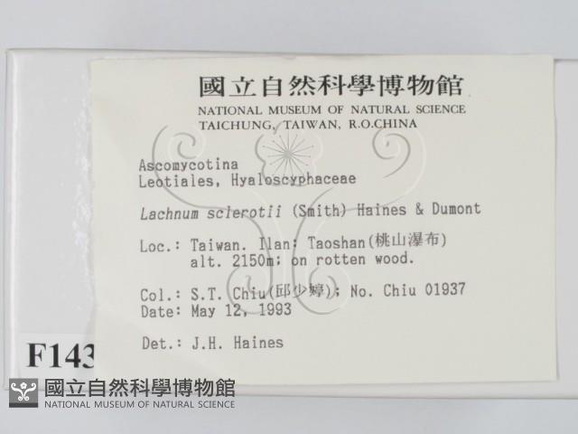 登錄號:F0001431藏品圖，第2張