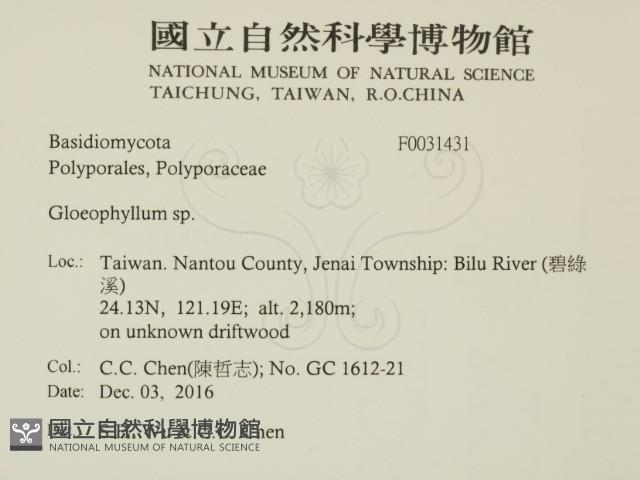 登錄號:F0031431藏品圖，第2張