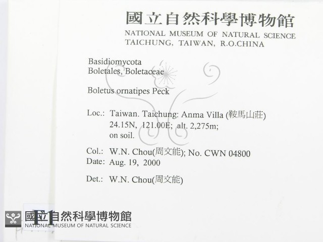 登錄號:F0014431藏品圖，第2張