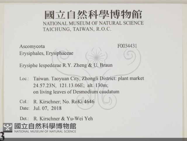 登錄號:F0034431藏品圖，第2張