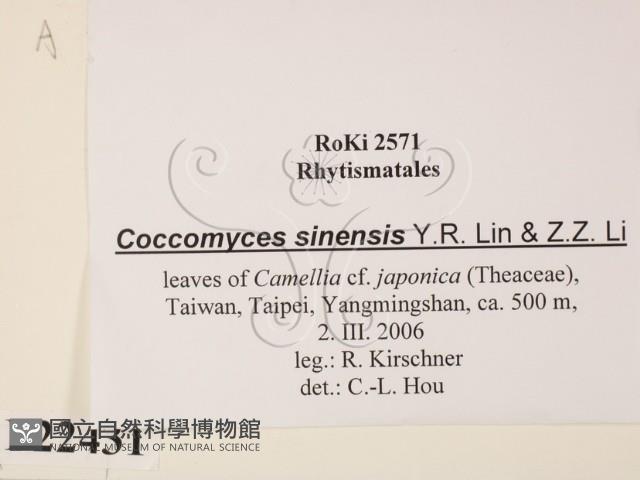 登錄號:F0022431藏品圖，第2張