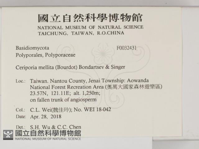 登錄號:F0032431藏品圖，第2張