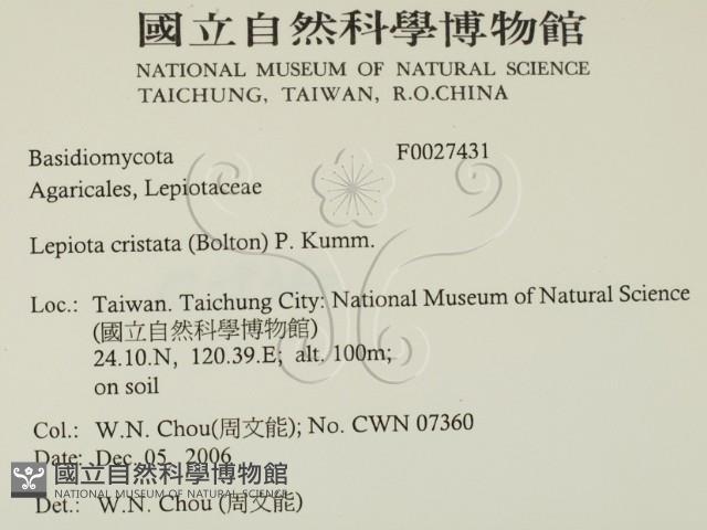 登錄號:F0027431藏品圖，第2張