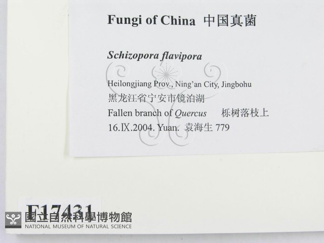登錄號:F0017431藏品圖，第2張