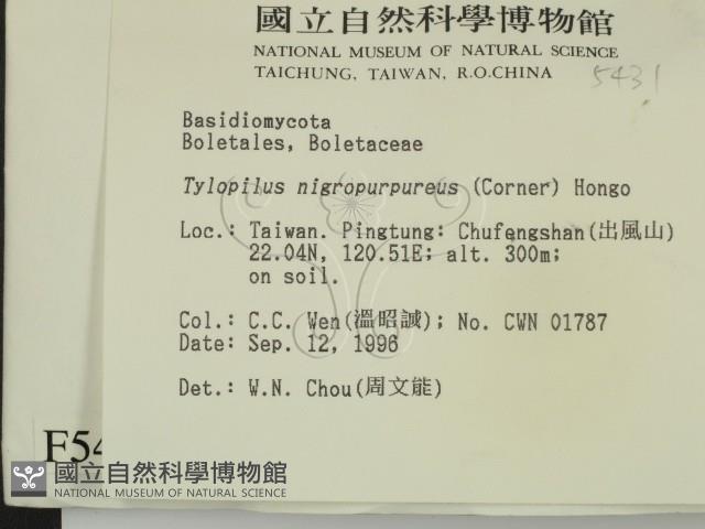 登錄號:F0005431藏品圖，第2張