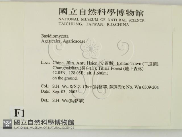 登錄號:F0015431藏品圖，第2張