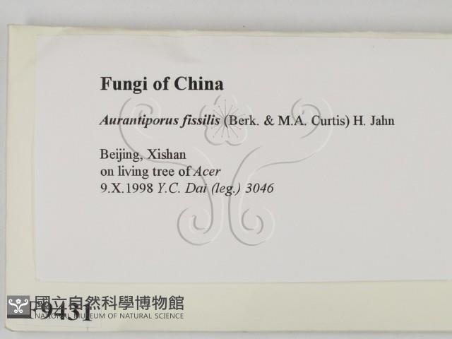 登錄號:F0009431藏品圖，第2張