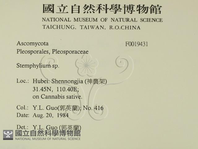 登錄號:F0019431藏品圖，第2張