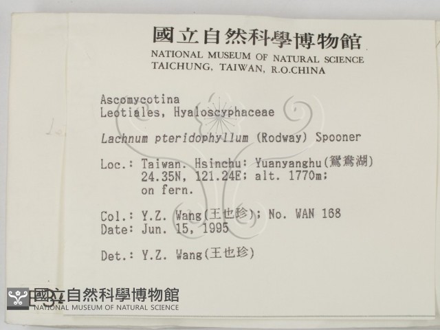 登錄號:F0003431藏品圖，第2張