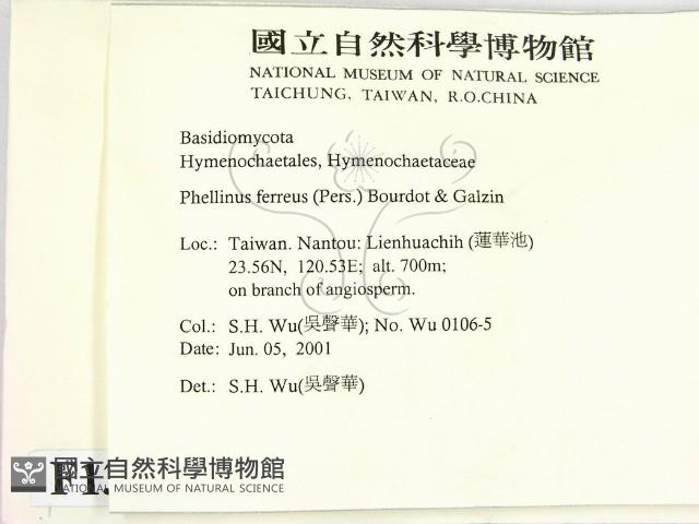 登錄號:F0013431藏品圖，第2張