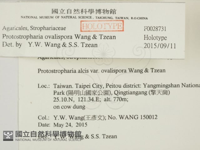 登錄號:F0028731藏品圖，第2張