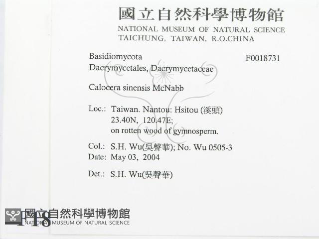 登錄號:F0018731藏品圖，第2張