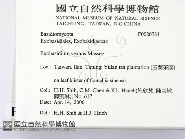 登錄號:F0020731藏品圖，第2張
