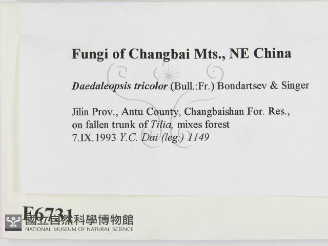 登錄號:F0006731藏品圖，第2張