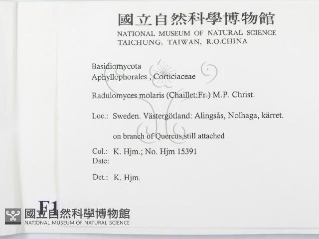登錄號:F0016731藏品圖，第2張
