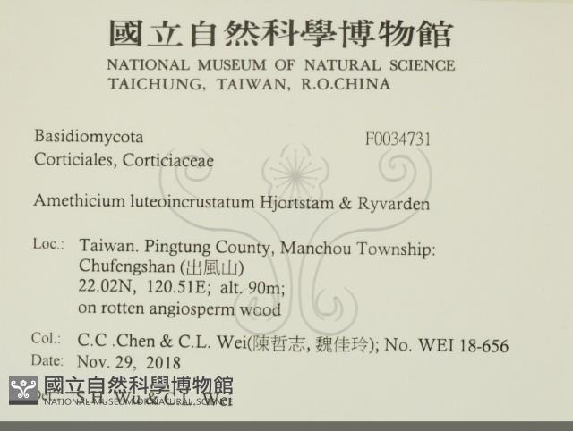 登錄號:F0034731藏品圖，第2張