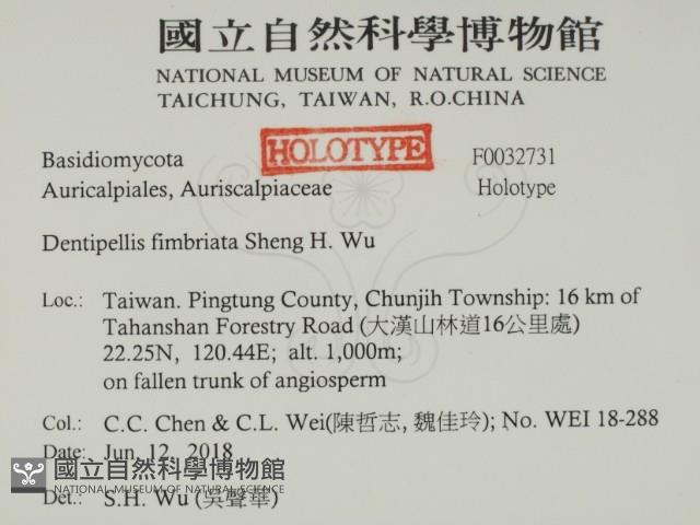 登錄號:F0032731藏品圖，第2張