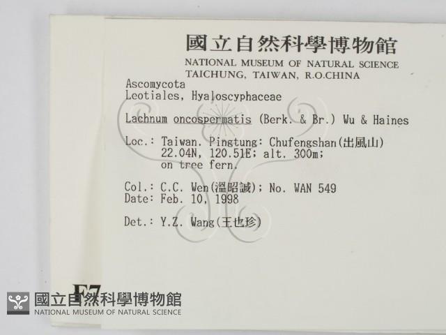 登錄號:F0007731藏品圖，第2張