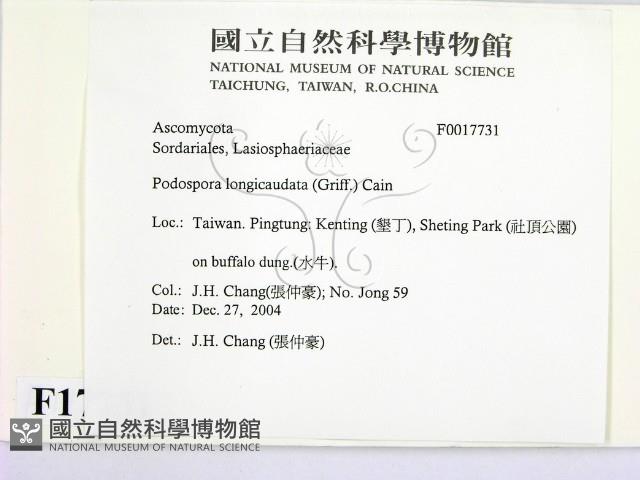 登錄號:F0017731藏品圖，第2張