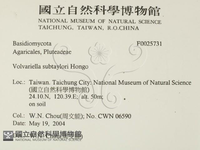 登錄號:F0025731藏品圖，第2張