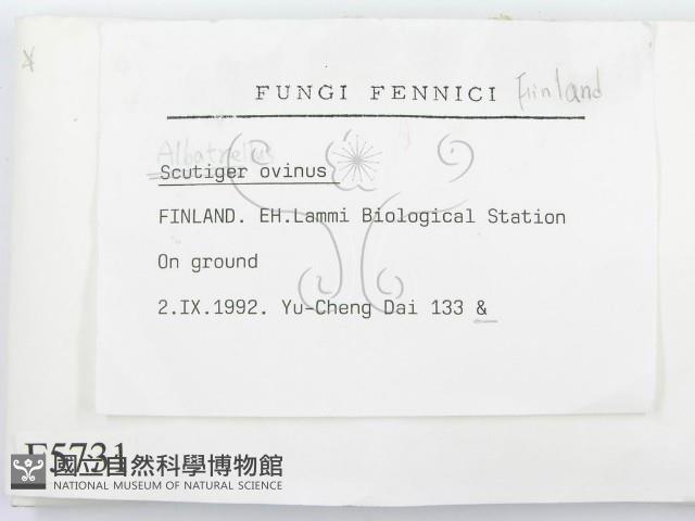 登錄號:F0005731藏品圖，第2張