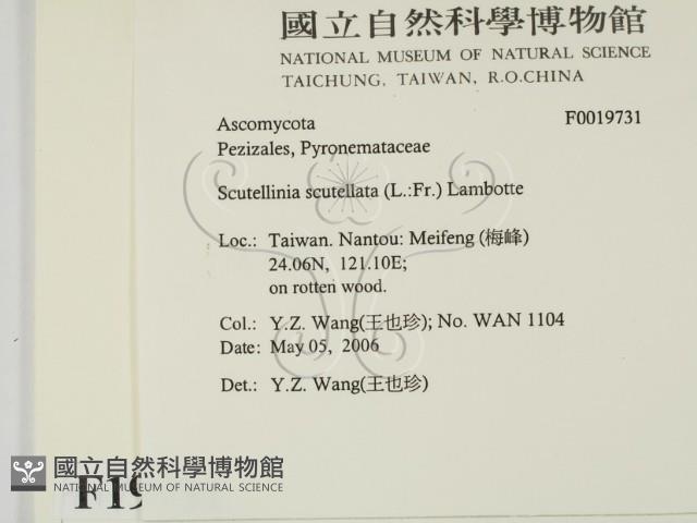登錄號:F0019731藏品圖，第2張