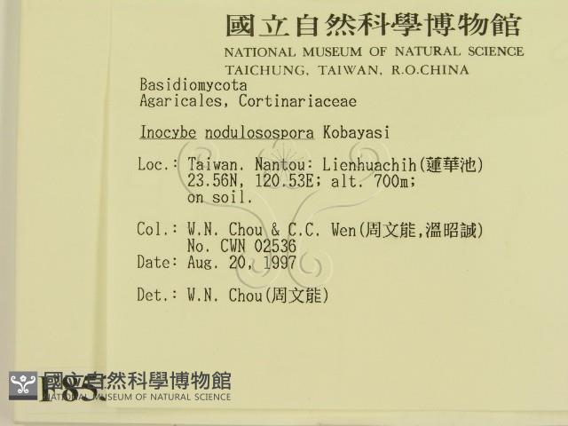 登錄號:F0008531藏品圖，第2張