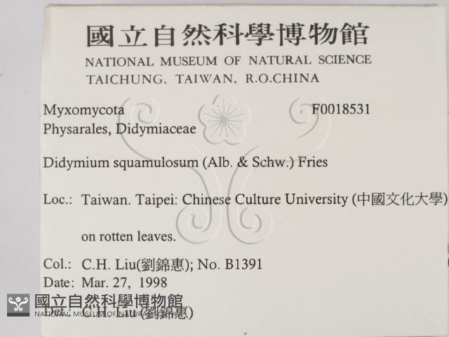 登錄號:F0018531藏品圖，第2張