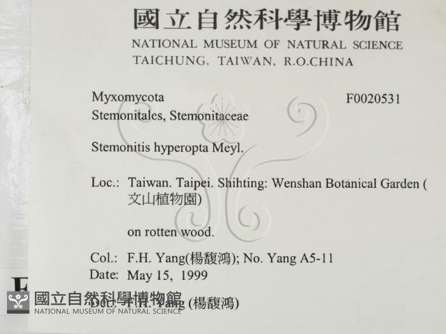 登錄號:F0020531藏品圖，第2張