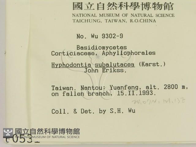 登錄號:F0000531藏品圖，第2張