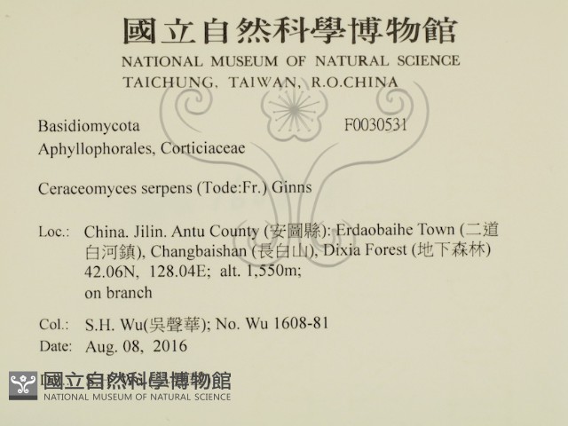登錄號:F0030531藏品圖，第2張