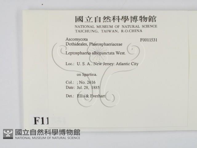 登錄號:F0011531藏品圖，第2張