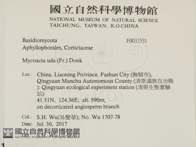 登錄號:F0031531藏品圖，第2張