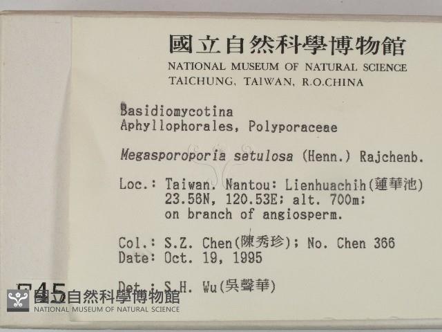 登錄號:F0004531藏品圖，第2張