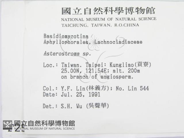 登錄號:F0002531藏品圖，第2張