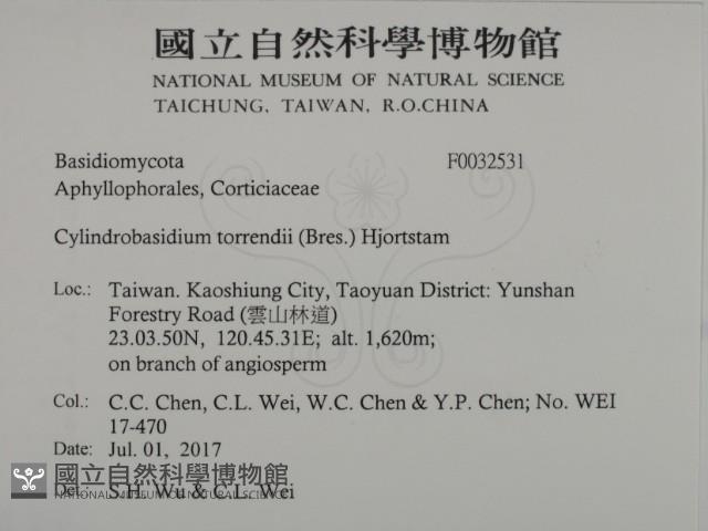 登錄號:F0032531藏品圖，第2張