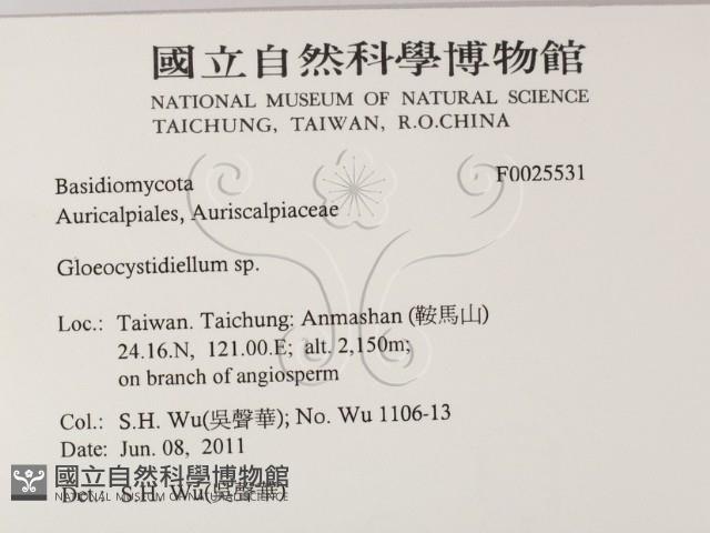 登錄號:F0025531藏品圖，第2張