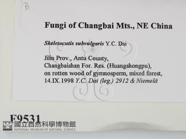 登錄號:F0009531藏品圖，第2張