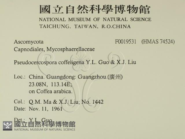 登錄號:F0019531藏品圖，第2張