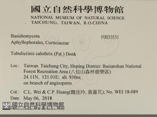 登錄號:F0033531藏品圖，第2張