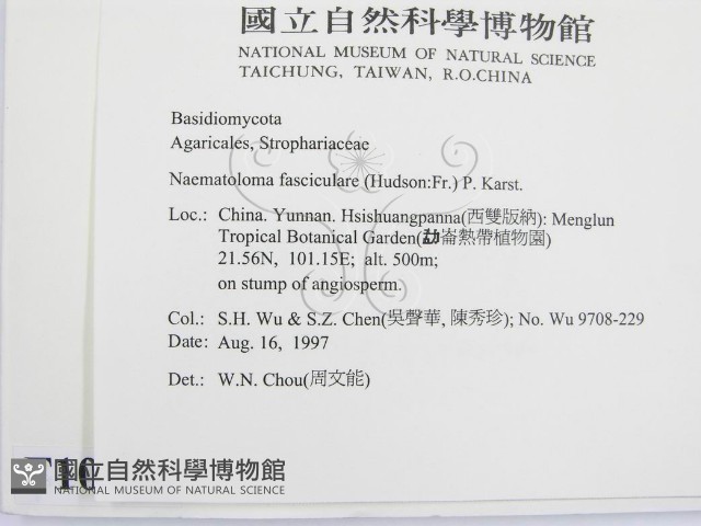 登錄號:F0010131藏品圖，第2張