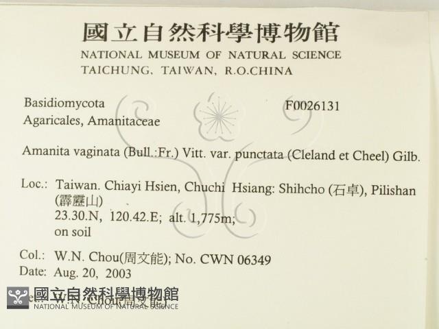 登錄號:F0026131藏品圖，第2張