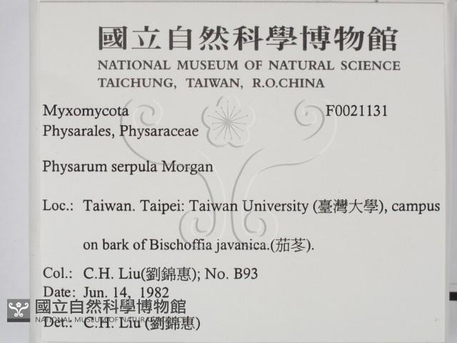 登錄號:F0021131藏品圖，第2張