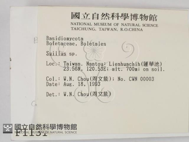 登錄號:F0001131藏品圖，第2張
