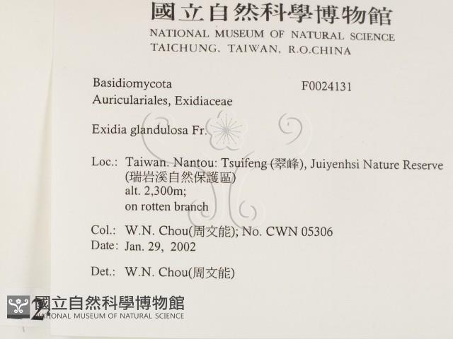 登錄號:F0024131藏品圖，第2張