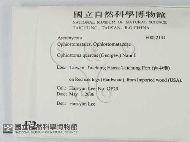 登錄號:F0022131藏品圖，第2張