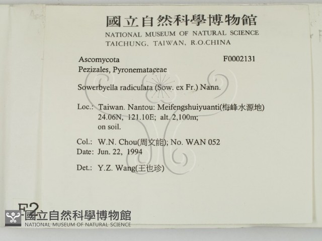 登錄號:F0002131藏品圖，第2張